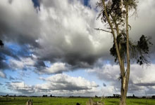 利物浦球员受伤退场，球队士气受挫