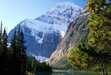 运动员们不畏强敌坚持拼搏，争夺胜利荣誉