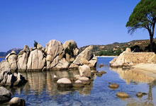 拜仁遥指曼联晋级，集体表现令人目眩神迷